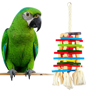 Birds toys