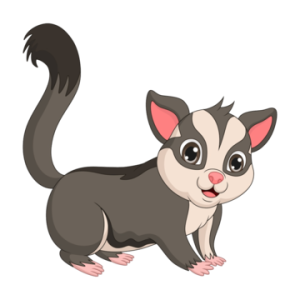 Small Animal
